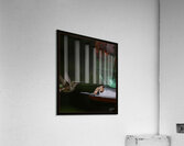 HUMMINGBIRD FLYING TO FEEDER Acrylic Print