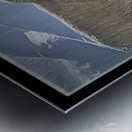 BILATERAL HERDING Metal print