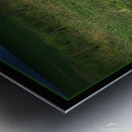 ELDER SHEEP DOG Metal print