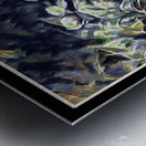 POND REFLECTIONS Abstract Metal print