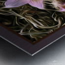 Riverside Crocuses Metal print