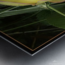 ORANGE YELLOW ROSE Metal print