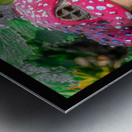 GARDEN HOUSE Metal print