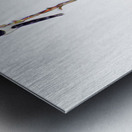 MAGPIE CONVENTION 1 ARRIVING Metal print