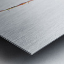 MAGPIE CONVENTION 3 CONCLUDED Metal print