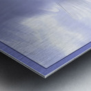 JONATHAN LIVINGSTON SEAGULL Metal print