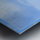 BIRTH OF A FOREST Metal print