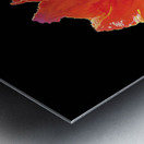 AFRICAN TULIPS 2 Metal print