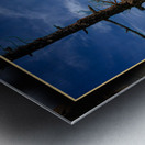 BALD EAGLE ON COPPER ISLAND Metal print