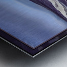 SHUSWAP SMOOTHY Metal print