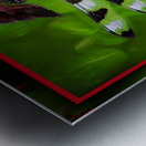 BLACK WHITE DRAGONFLY Metal print