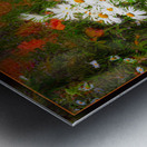 Daisy Sun Catchers Metal print