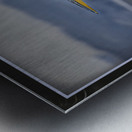 BLUE HERON LIFTOFF Metal print