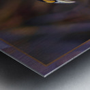 EVENING GROSBEAK PONDERING Metal print