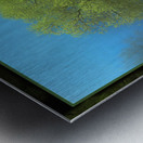 Cottonwood Poplar Metal print