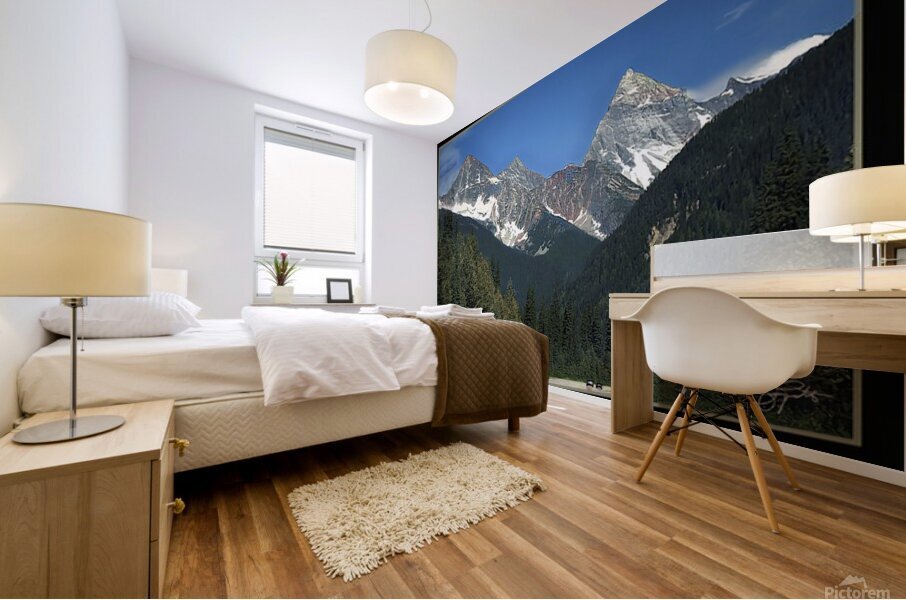 CANADIAN MOUNTAINS Mural print