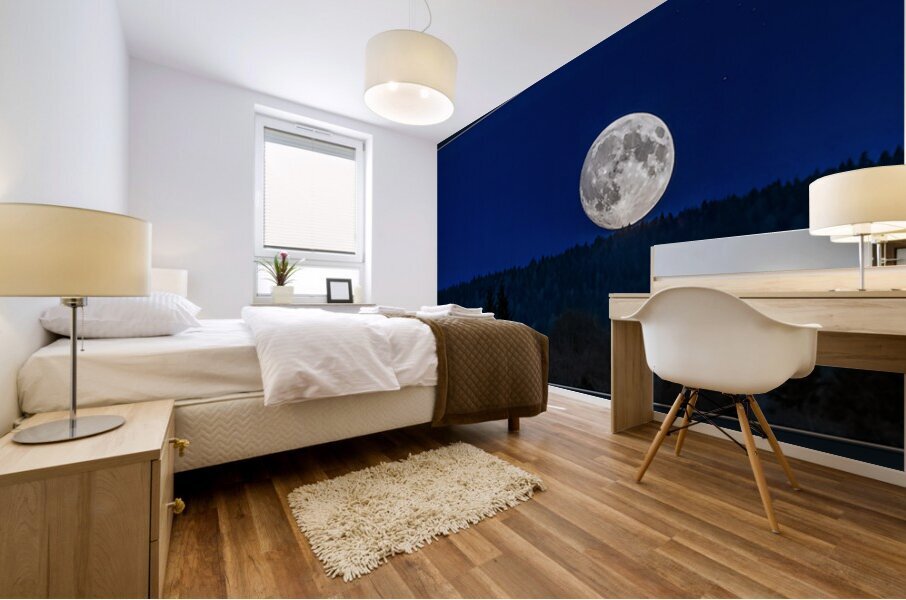 FULL MOON RESTING Mural print