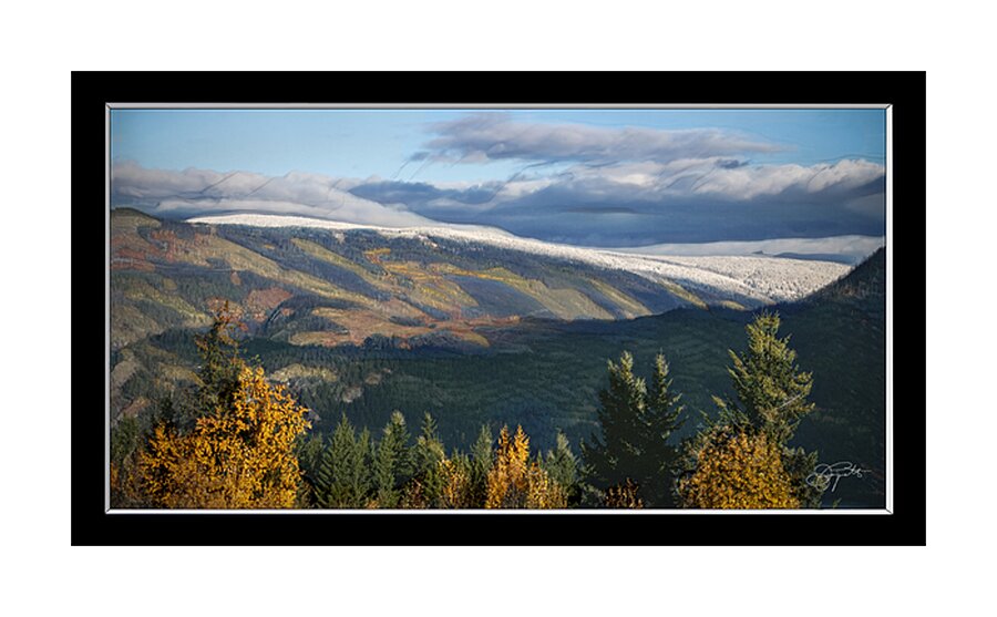 SIGNS OF WINTER ARRIVING Picture Frame print