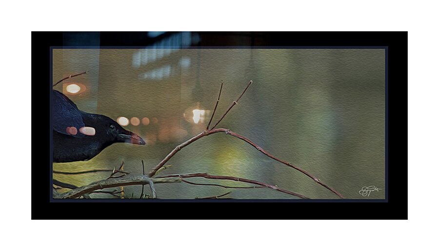 EDGAR ALLAN CROW Picture Frame print
