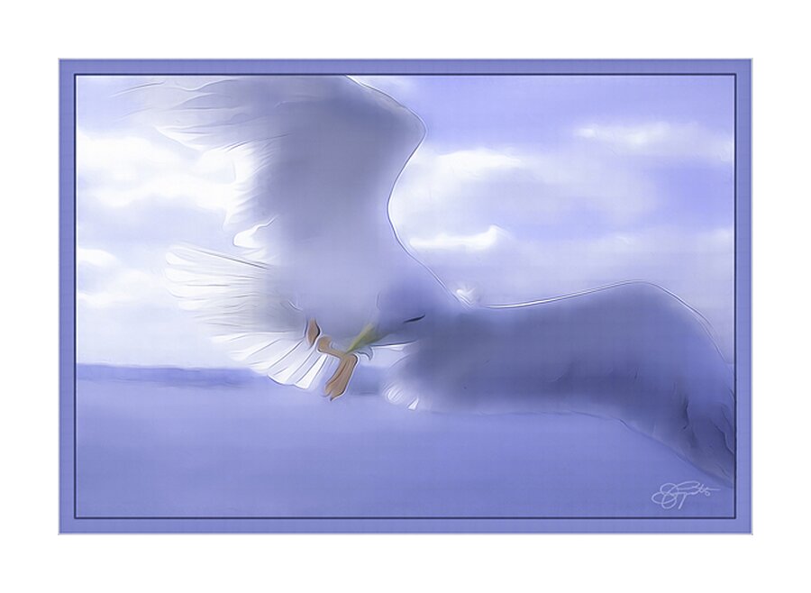 JONATHAN LIVINGSTON SEAGULL Picture Frame print