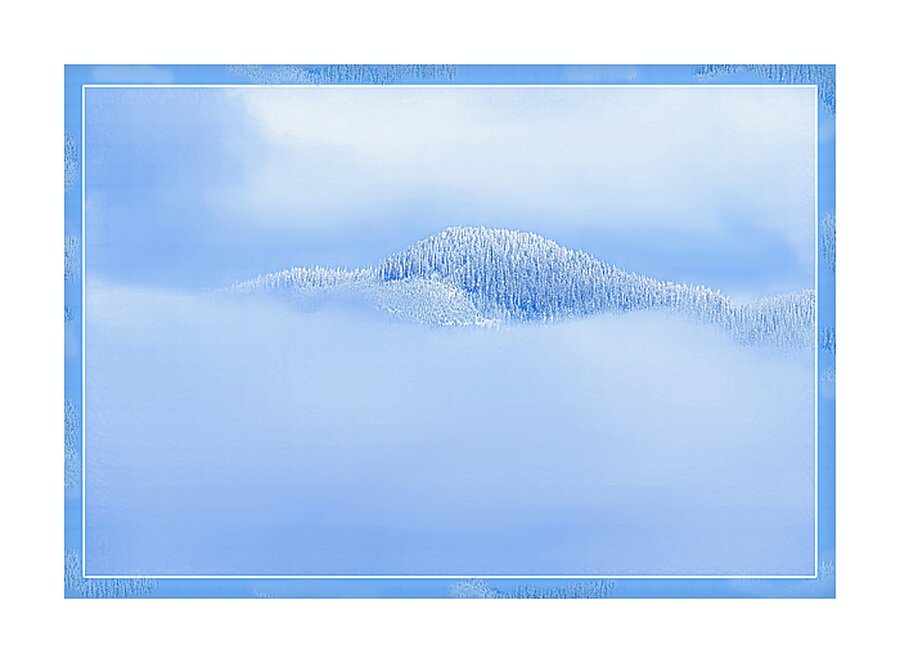 BIRTH OF A FOREST Picture Frame print