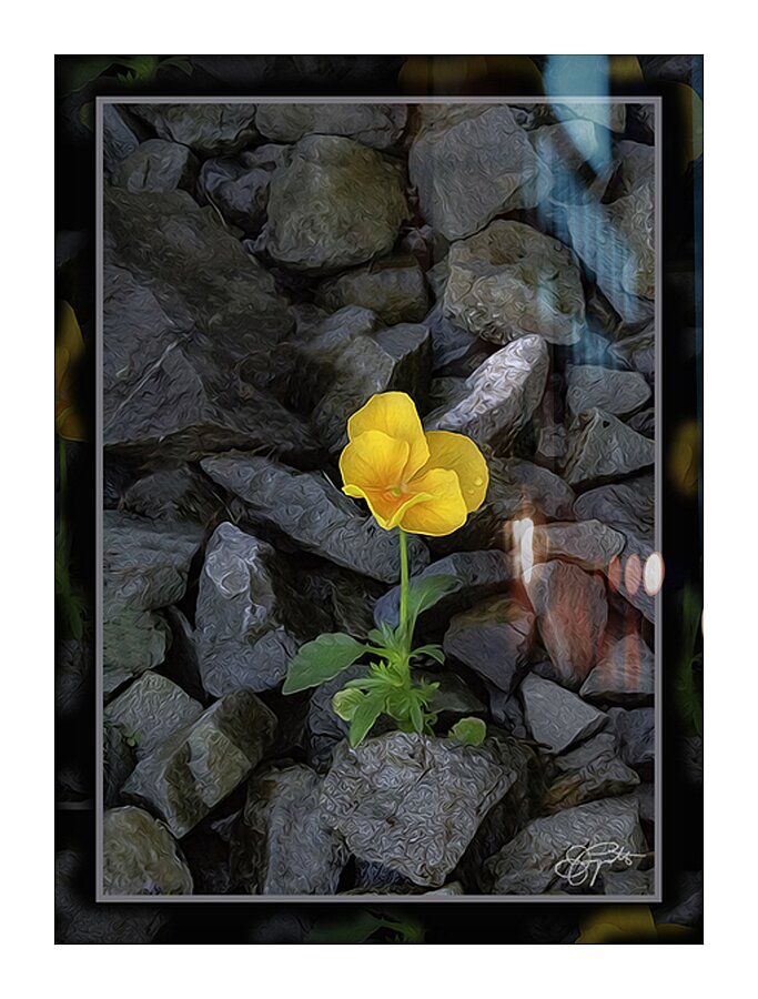 SOFT STRONG POPS UP TOO Picture Frame print