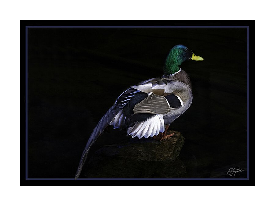 DRAKE MY FRIEND Picture Frame print