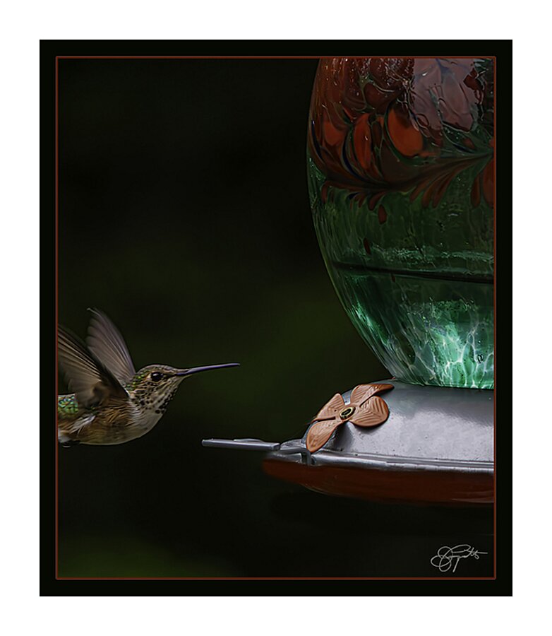 HUMMINGBIRD FLYING TO FEEDER Picture Frame print