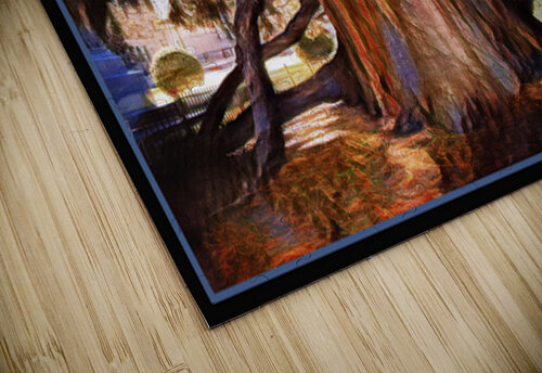 SEQUOIA TREE VICTORIA B.C Jerre Paquette puzzle