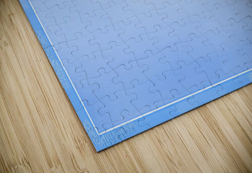 BIRTH OF A FOREST Jerre Paquette puzzle