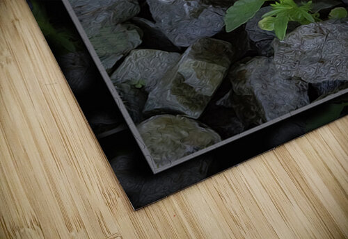 SOFT STRONG POPS UP TOO Jerre Paquette puzzle