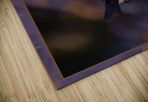 EVENING GROSBEAK PONDERING Jerre Paquette puzzle