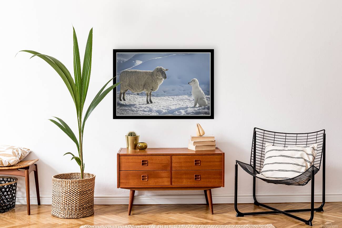 BILATERAL HERDING Reproduction