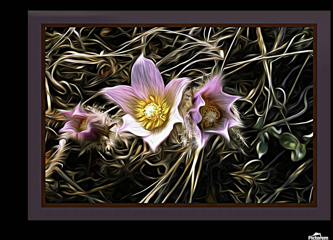 Riverside Crocuses Reproduction