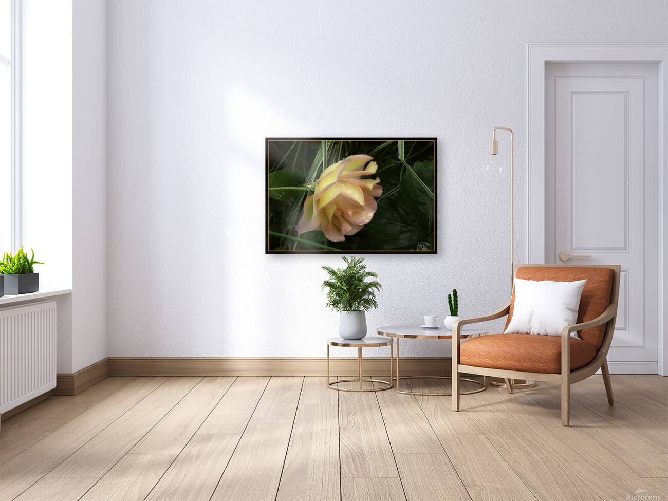 ORANGE YELLOW ROSE Reproduction