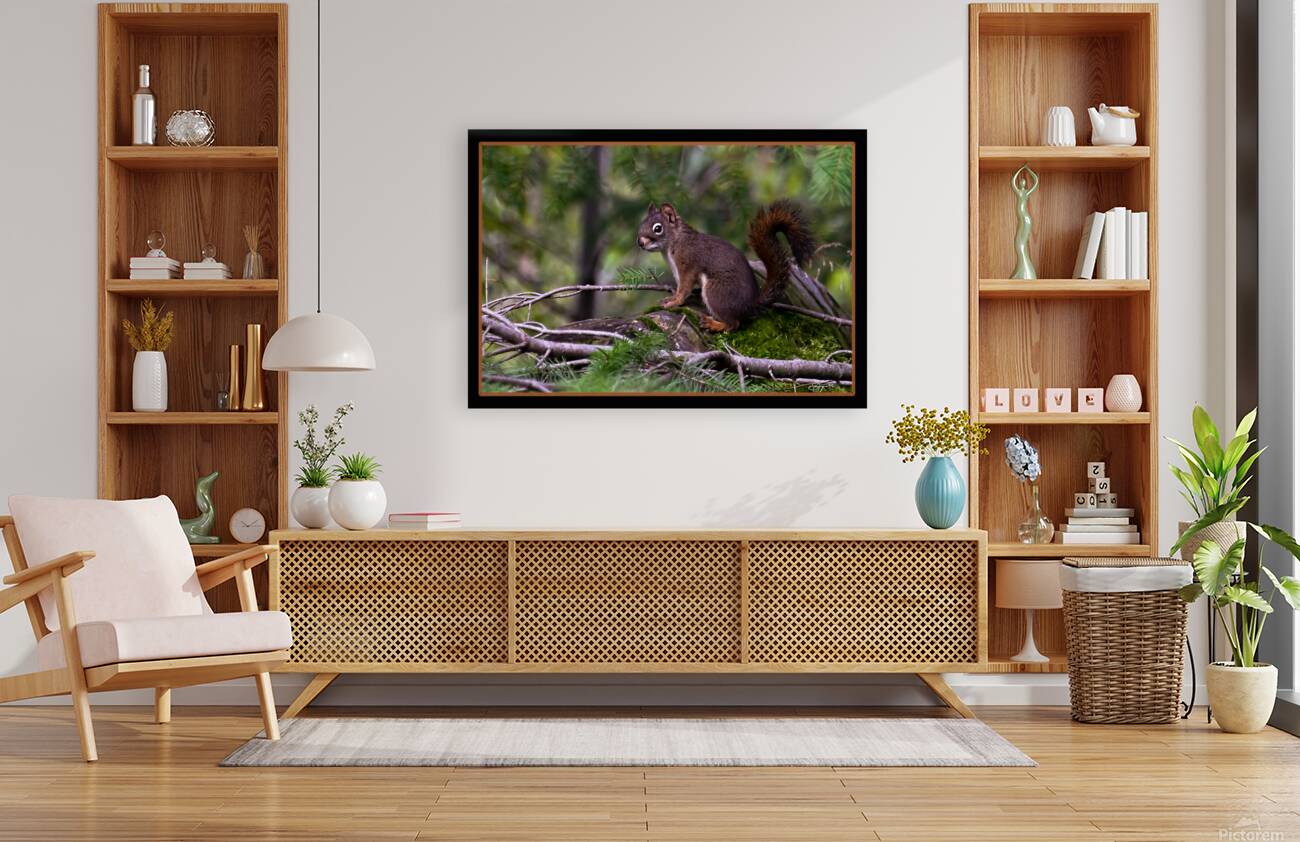 RED SQUIRREL POSING Reproduction