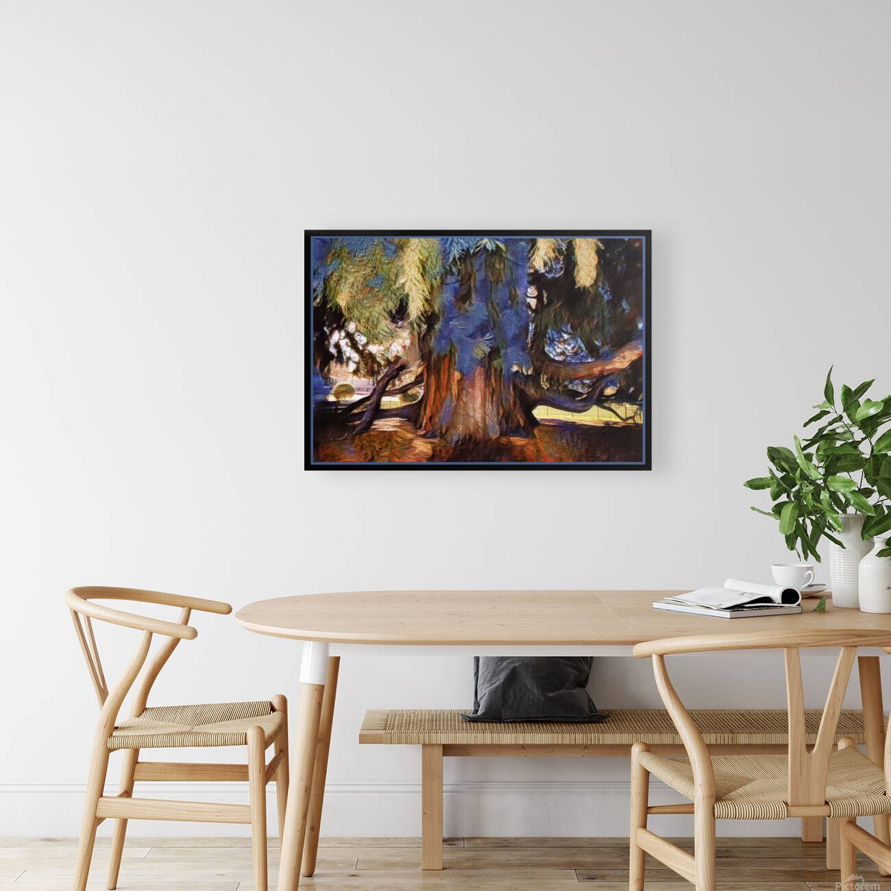 SEQUOIA TREE VICTORIA B.C Reproduction