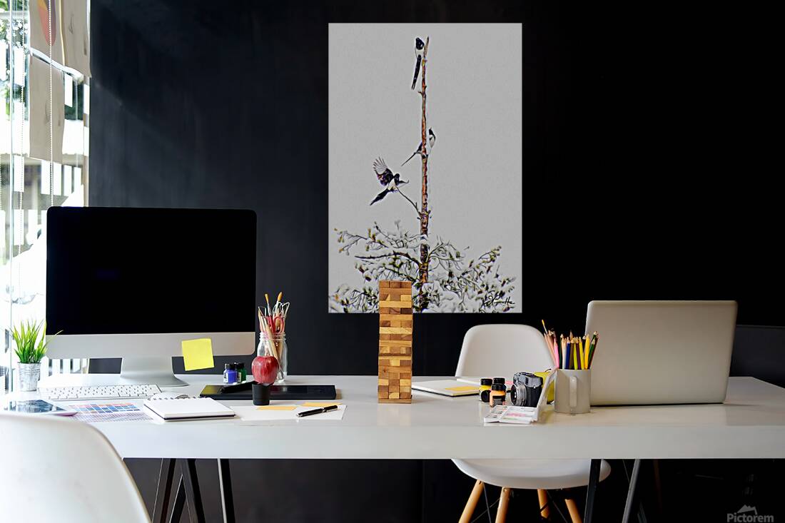 MAGPIE CONVENTION 1 ARRIVING Reproduction