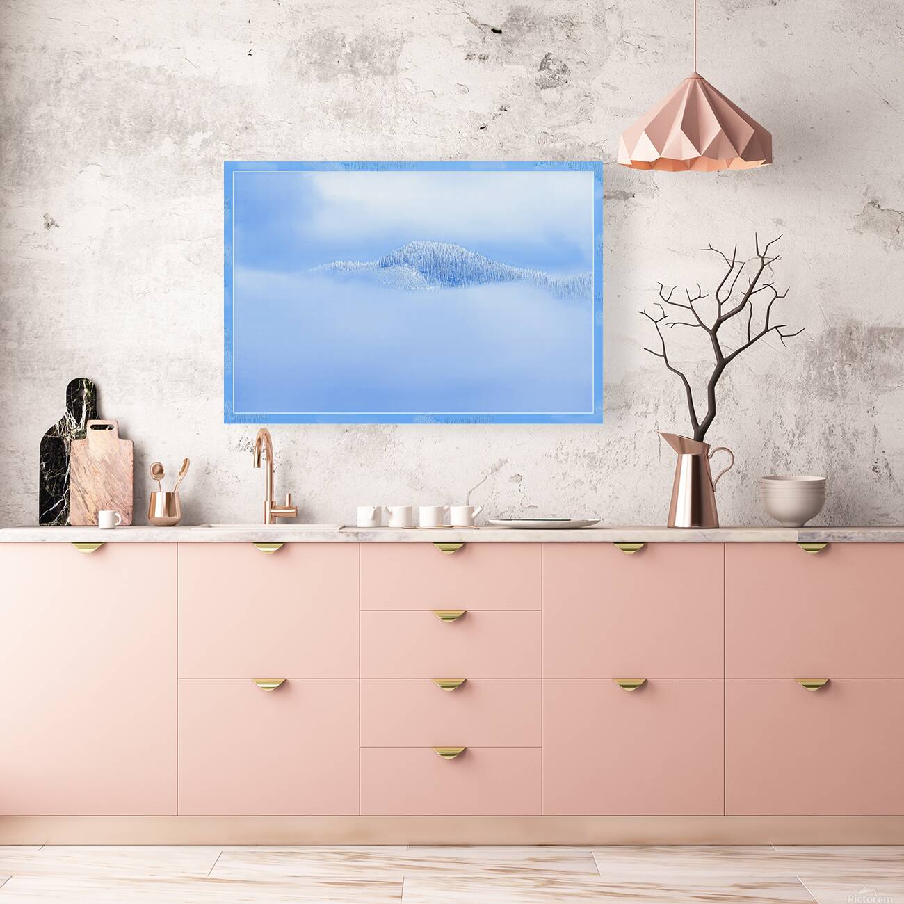 BIRTH OF A FOREST Reproduction