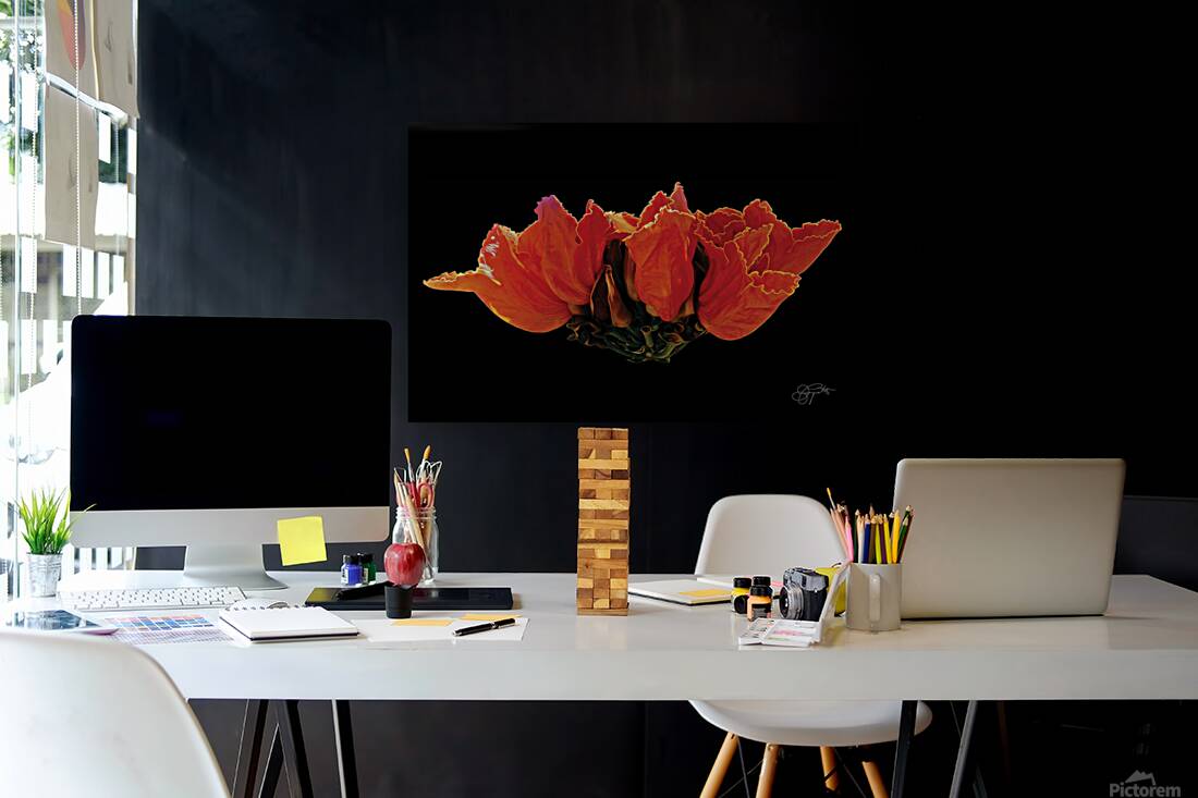 AFRICAN TULIPS 2 Reproduction