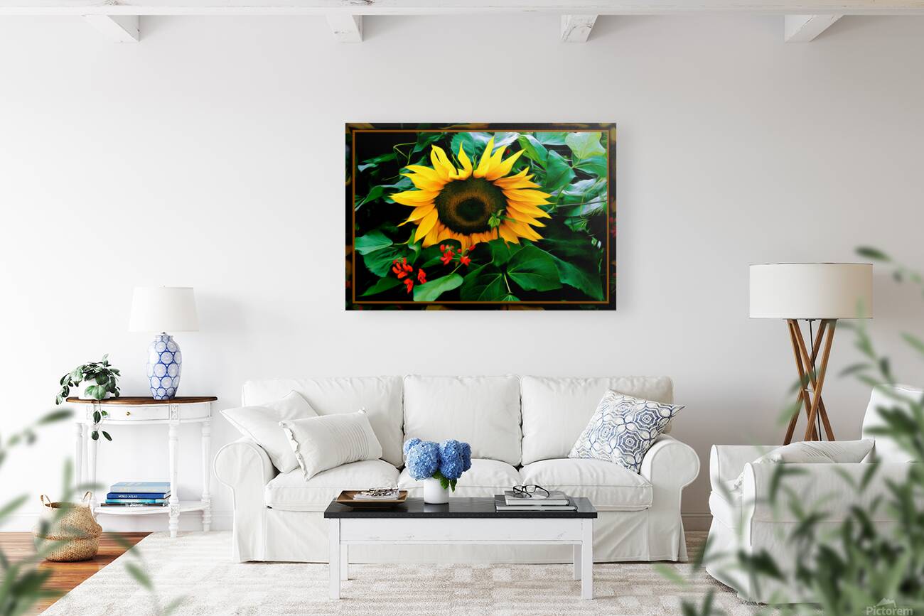 SUN FLOWER SCARLET RUNNERS Reproduction