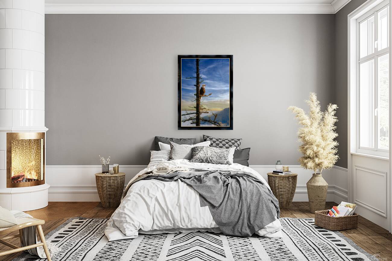 BALD EAGLE ON COPPER ISLAND Reproduction