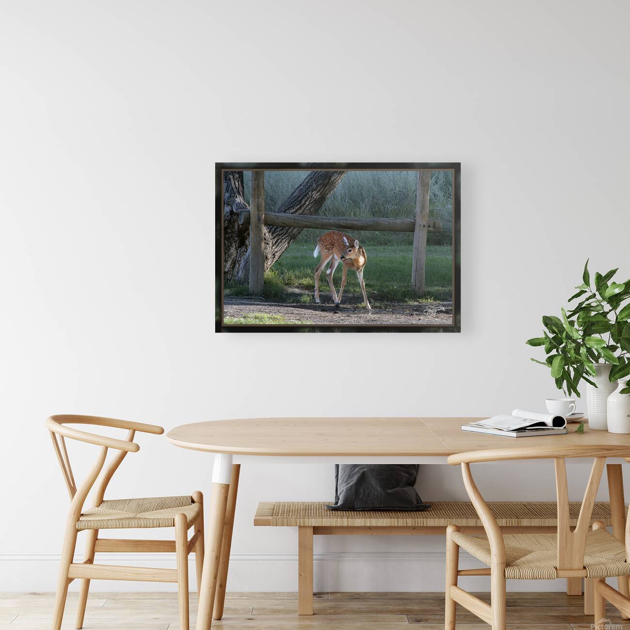 FAWN WHERE S MOM Reproduction