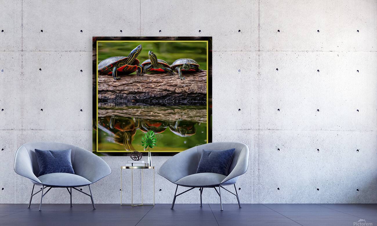 PAINTED TURTLES SUNNING Reproduction