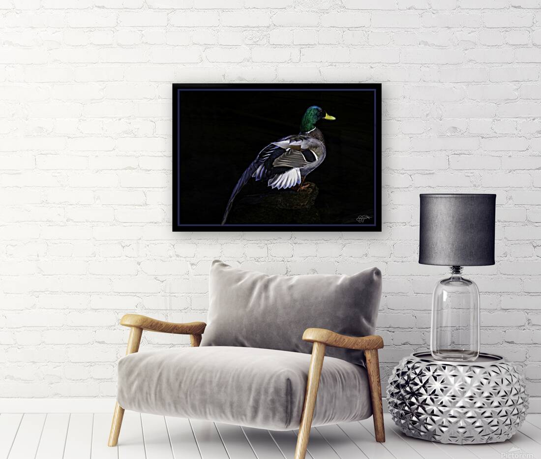 DRAKE MY FRIEND Reproduction