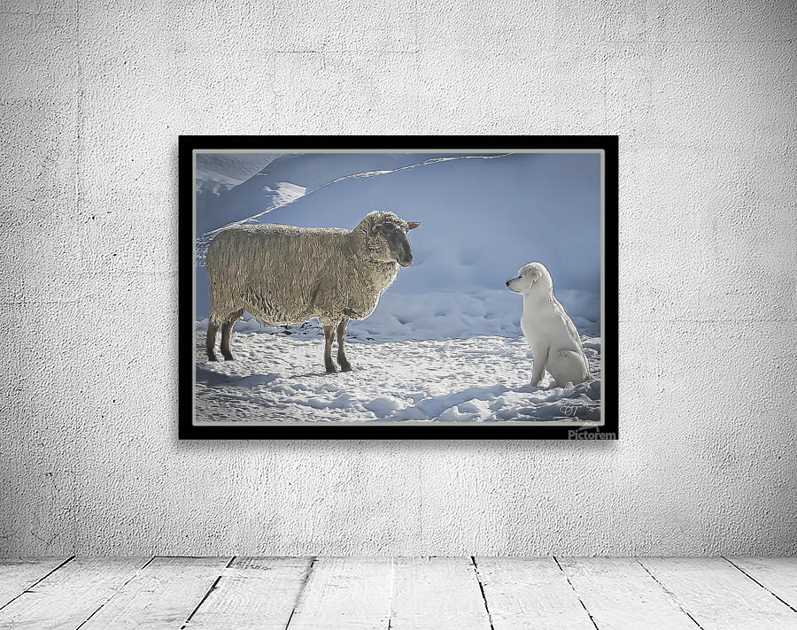 BILATERAL HERDING Wall Preview