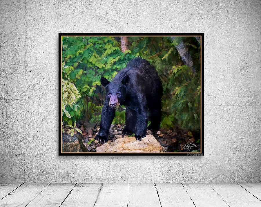 WINTER SLEEP ALL OVER Wall Preview