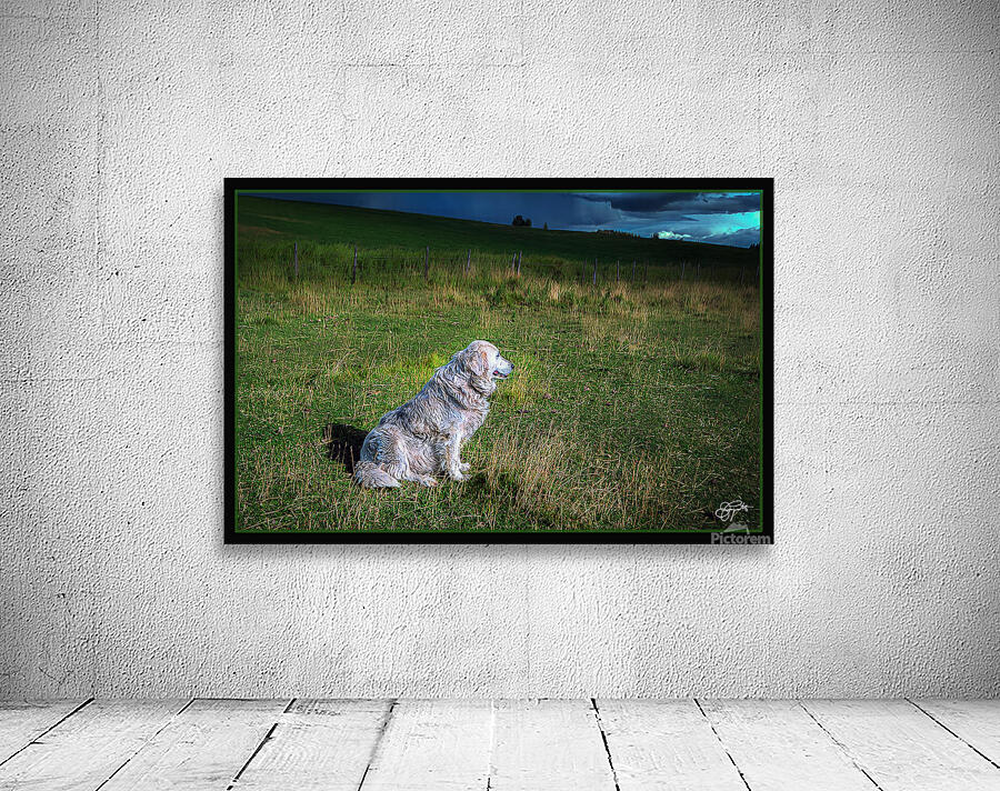 ELDER SHEEP DOG Wall Preview