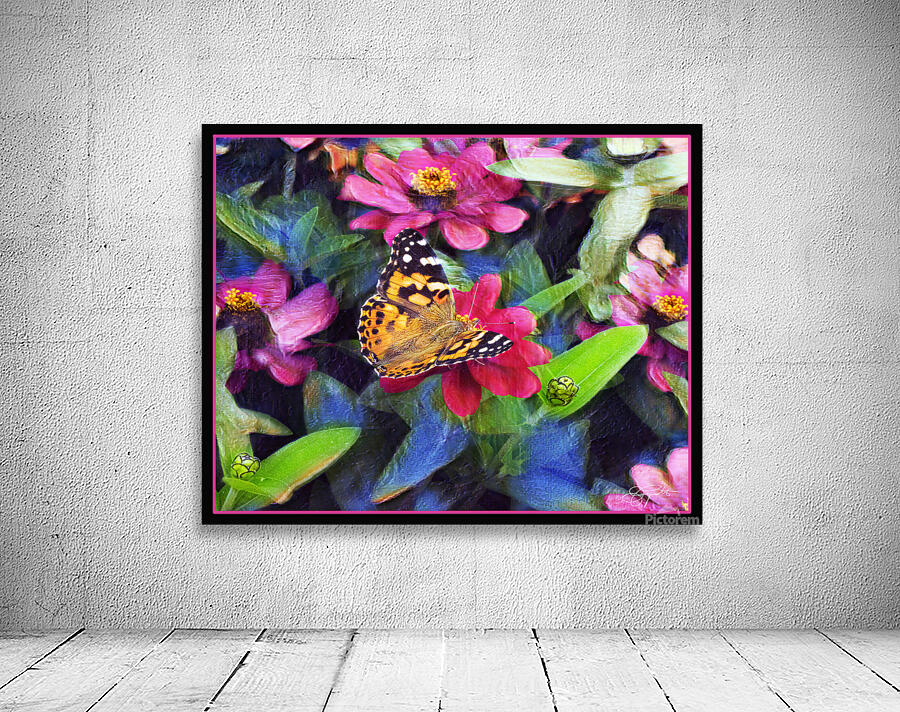 PAINTED LADY BUTTERFLY Wall Preview