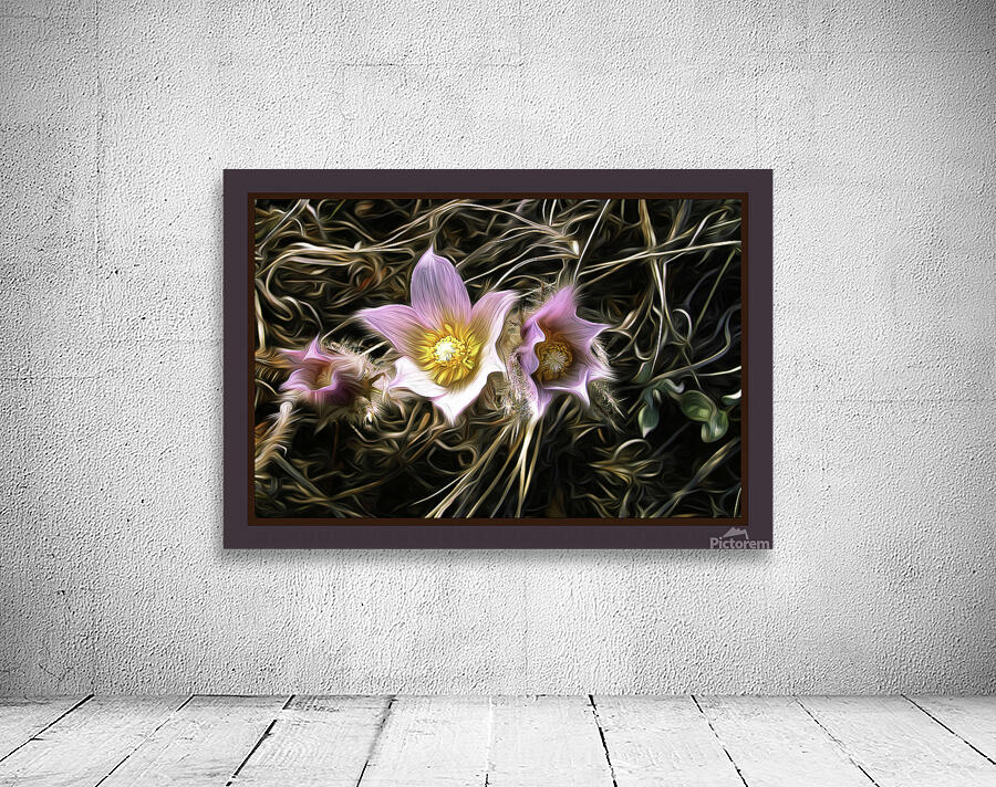 Riverside Crocuses Wall Preview